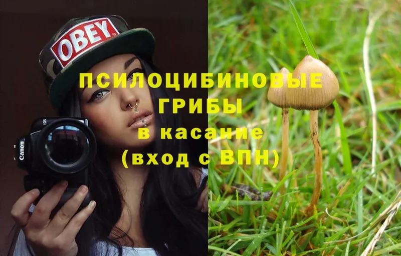 Галлюциногенные грибы Magic Shrooms  Елец 